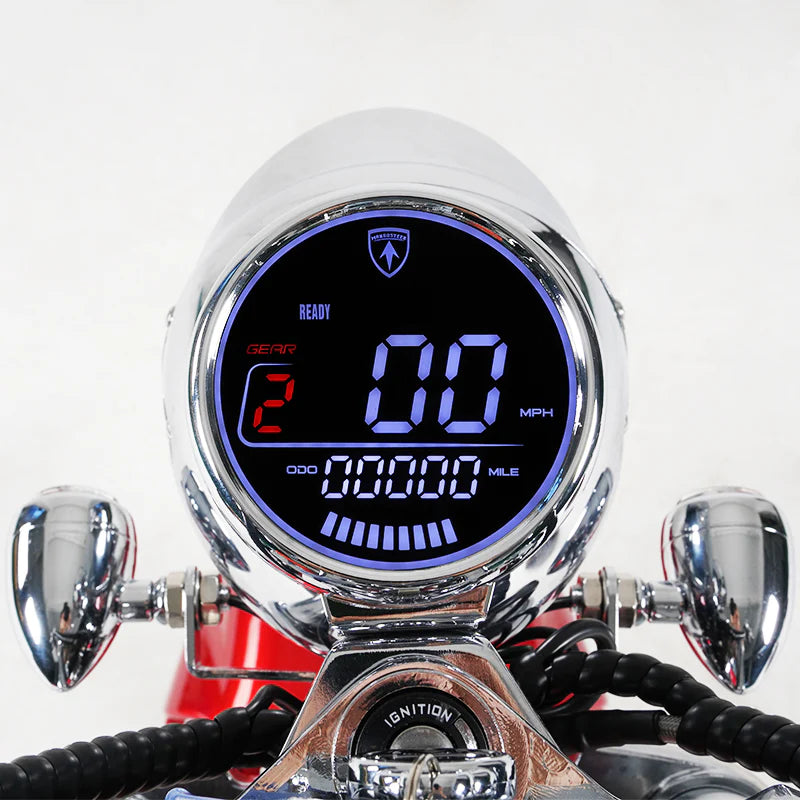 Halterung für Tacho-Display für die M1PS E-Chopper MGS