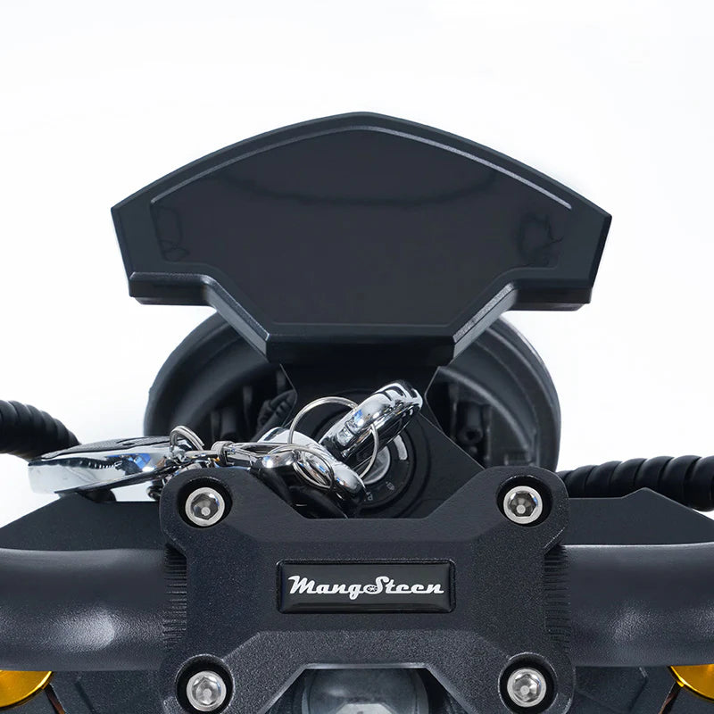 Halterung für Tacho-Display für die M8S E-Chopper MGS
