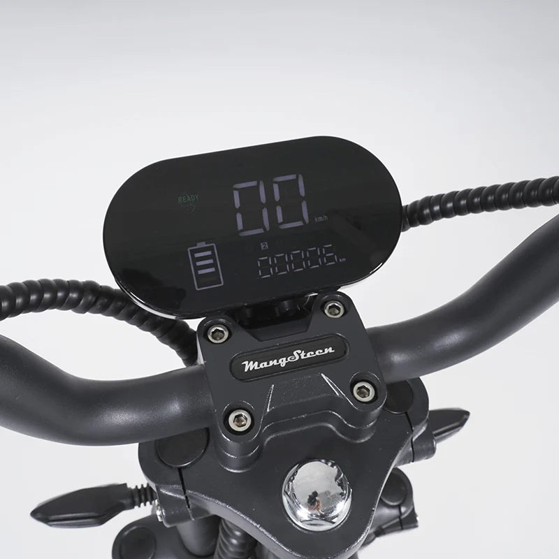 Tacho-Display für die M2 / M8 E-Chopper MGS