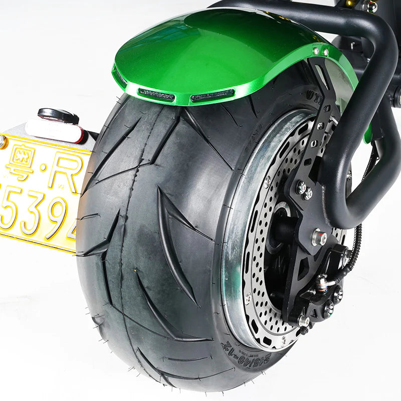 custom schutzblech Custom-Fender MGS – ReKon E-Fahrzeugteile