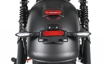 Beleuchtung Kennzeichen MGS